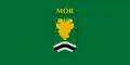 Mór – vlajka