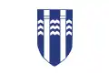 Reykjavík – vlajka