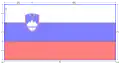 Rozměry slovinské vlajky