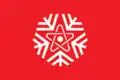 Sněžinsk – vlajka