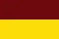 departement Tolima – vlajka