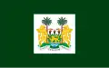 Sierra Leone Vlajka Sierry Leone