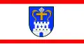 Zemský okres Východní Holštýnsko – vlajka