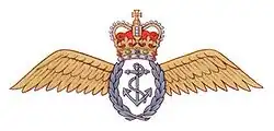 Odznak Fleet Air Arm