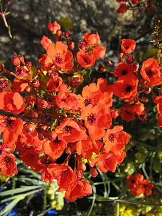 alternativní popis obrázku chybí