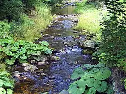 Flájský potok v Českém Jiřetíně