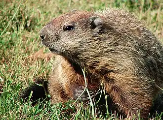 alternativní popis obrázku chybí