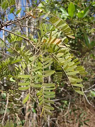 alternativní popis obrázku chybí
