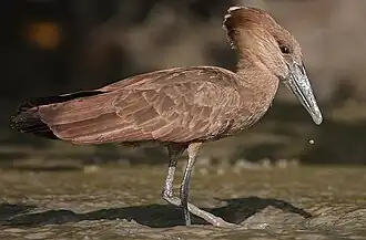 alternativní popis obrázku chybí