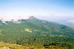 Vnitrozemí ostrova Flores