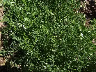 alternativní popis obrázku chybí