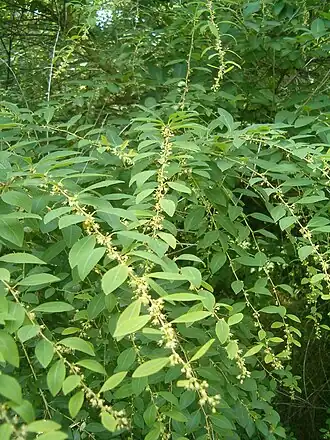 alternativní popis obrázku chybí