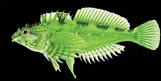 alternativní popis obrázku chybí