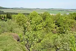 Fojtovice 2020-05-08 Velká pinka.jpg