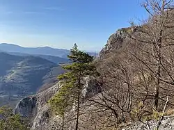 Pohled z nižší skaly na vrch Folkmarské skály (Jaro)