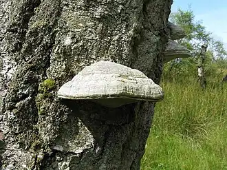 alternativní popis obrázku chybí