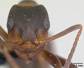 alternativní popis obrázku chybí