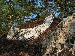 Mraveniště vybudované na skále.