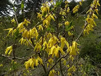 alternativní popis obrázku chybí