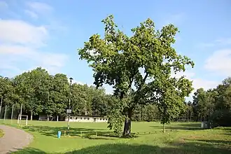 Hřiště v Chomoutově