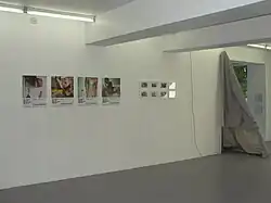 Napoelon Habeica's work