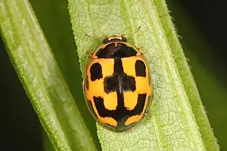 alternativní popis obrázku chybí