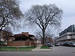 Robie House, na obrázku je vidět také Chicagská univerzita