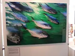 Frans Lanting SS Rotterdam