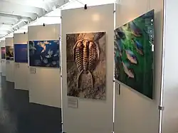 Frans Lanting SS Rotterdam