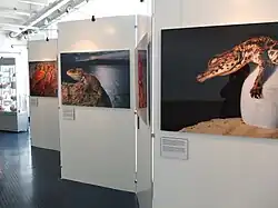 Frans Lanting SS Rotterdam