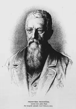 František Pecháček (kresba J. Mukařovského, Světozor, 1887)
