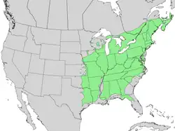 Areál rozšíření