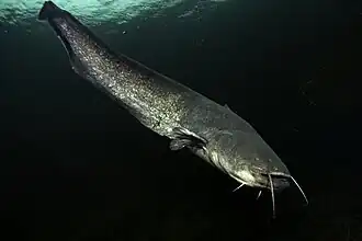 alternativní popis obrázku chybí