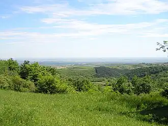 Fruška gora