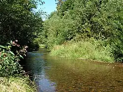 Říčka v Jimramově