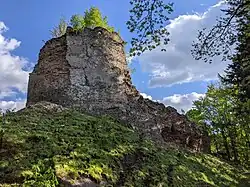 Frymburk u Nového Hrádku (květen 2021) (1).jpg