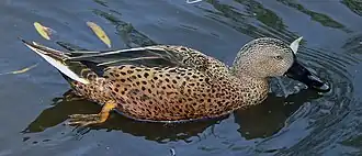 alternativní popis obrázku chybí