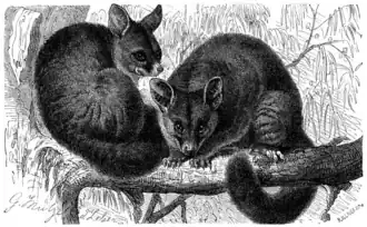 alternativní popis obrázku chybí