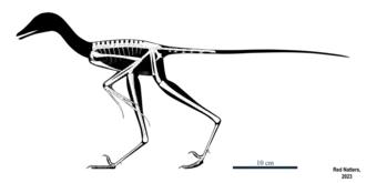 popis obrázku chybí