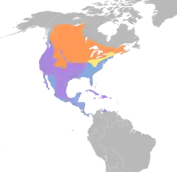 Žlutě je vyznačen rozsah výskytu při hnízdění, modře výskyt pouze při zimování a zelená značí celoroční výskyt.