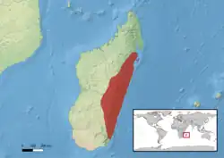 Areál rozšíření