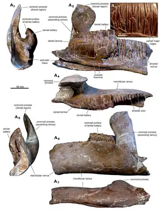 alternativní popis obrázku chybí