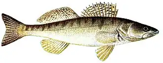 alternativní popis obrázku chybí