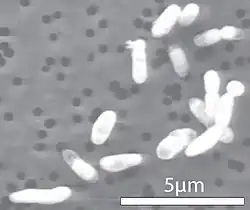 alternativní popis obrázku chybí