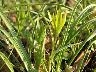 alternativní popis obrázku chybí