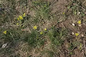 alternativní popis obrázku chybí