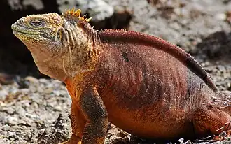 alternativní popis obrázku chybí