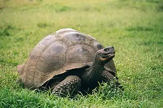 alternativní popis obrázku chybí