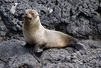 alternativní popis obrázku chybí