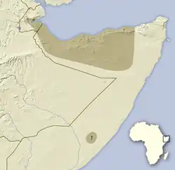 Rozšíření bércouna somálského